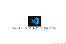 Visual Studio Code1.45.1安装教程及设置软件中文界面