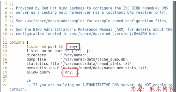 Linux安装BIND服务及配置主/从DNS服务器/缓存服务器第18张-麻木站