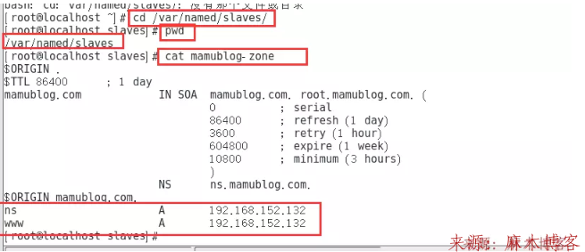 Linux安装BIND服务及配置主/从DNS服务器/缓存服务器第25张-麻木站