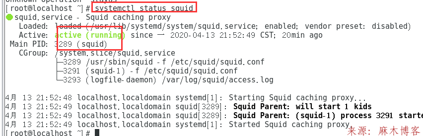 Linux-firewalld-squid正向代理第65张-麻木站